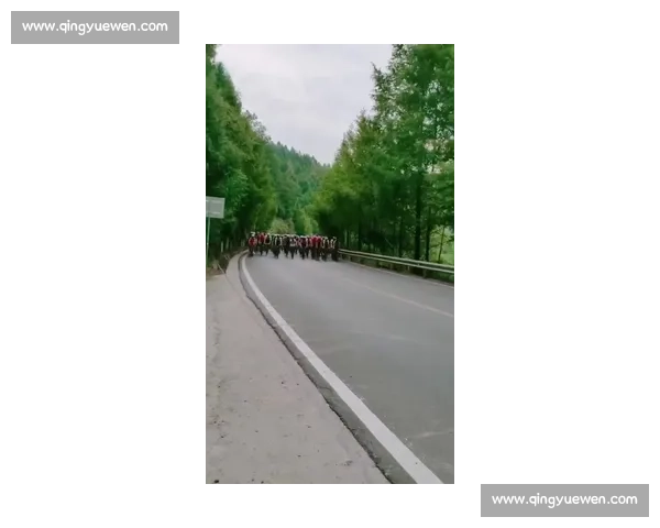 平昌自行车比赛精彩回顾与未来发展趋势探讨 平昌自行车比赛精彩回顾与未来发展趋势探讨