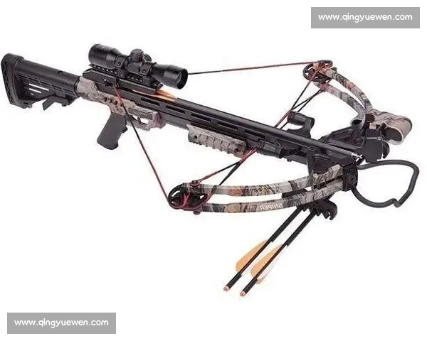 弓箭比赛装备全解析 如何选择适合的比赛用弓箭提升竞技表现