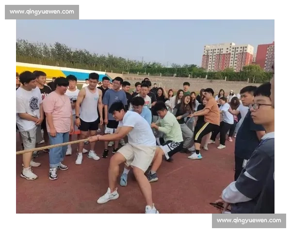拔河比赛中的团队合作与奋斗精神一次难忘的体育活动日记